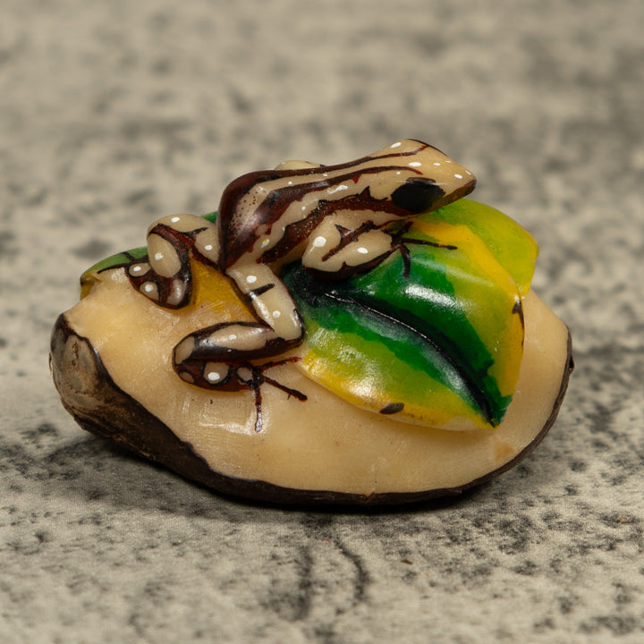 Brown And Cream Frog Tagua Carving