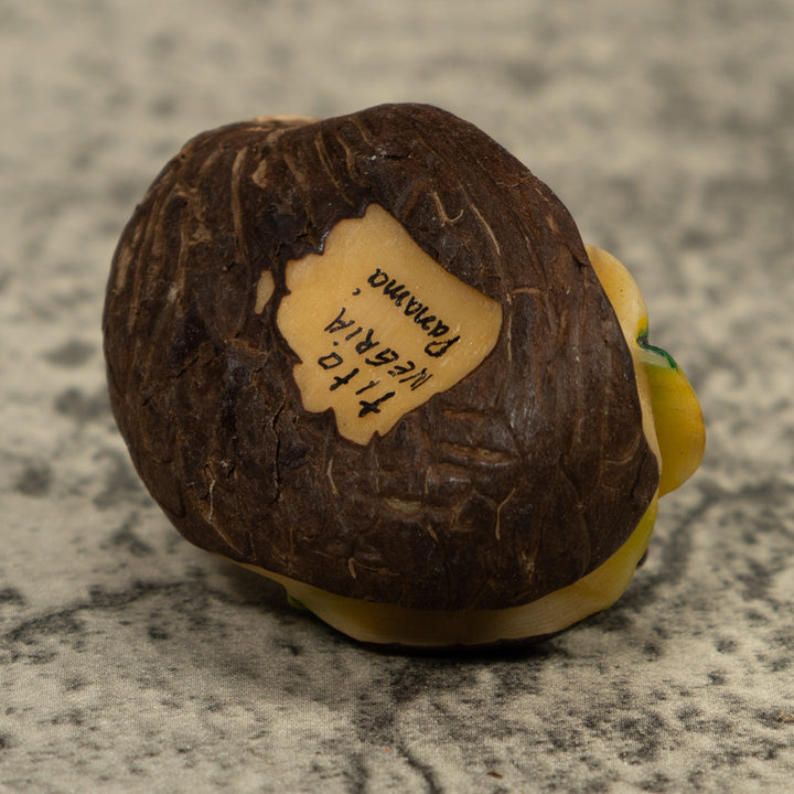 Brown And Cream Frog Tagua Carving