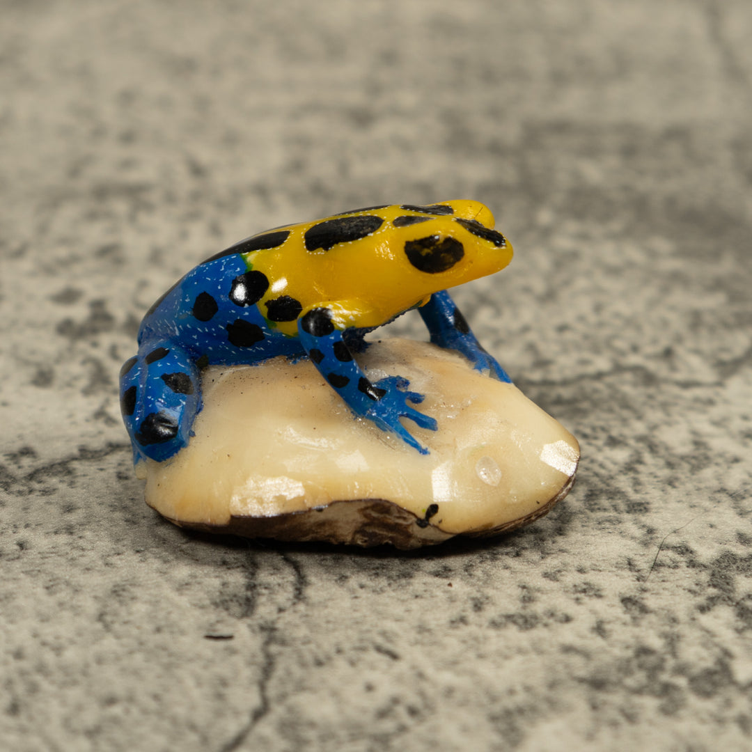 Yellow And Blue Poison Dart Frog Tagua Carving