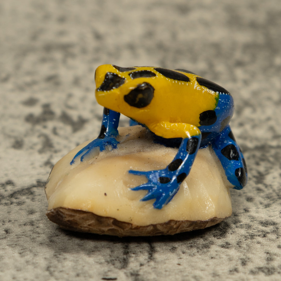 Yellow And Blue Poison Dart Frog Tagua Carving