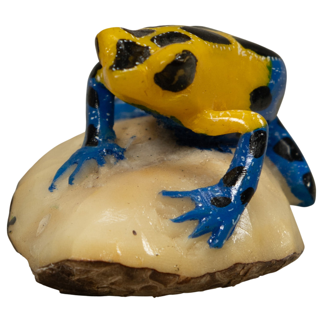 Yellow And Blue Poison Dart Frog Tagua Carving