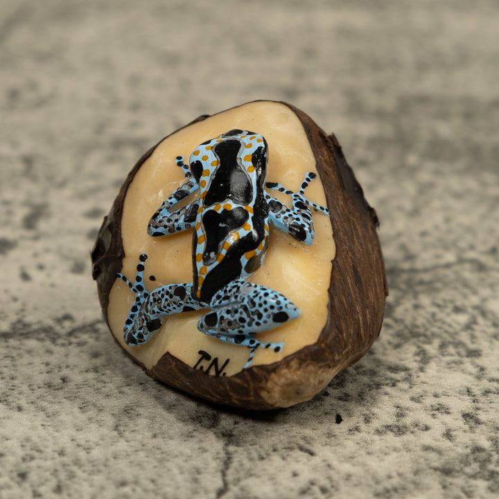 Blue Poison Dart Frog Tagua Carving