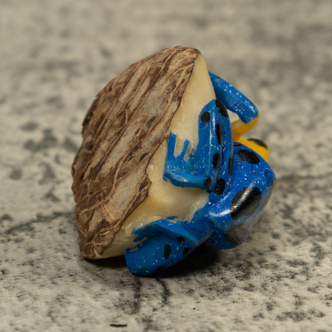 Yellow And Blue Poison Dart Frog Tagua Carving