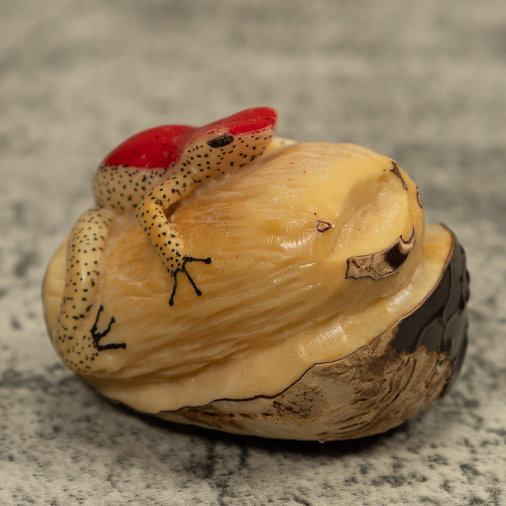 Red And Beige Frog Tagua Carving
