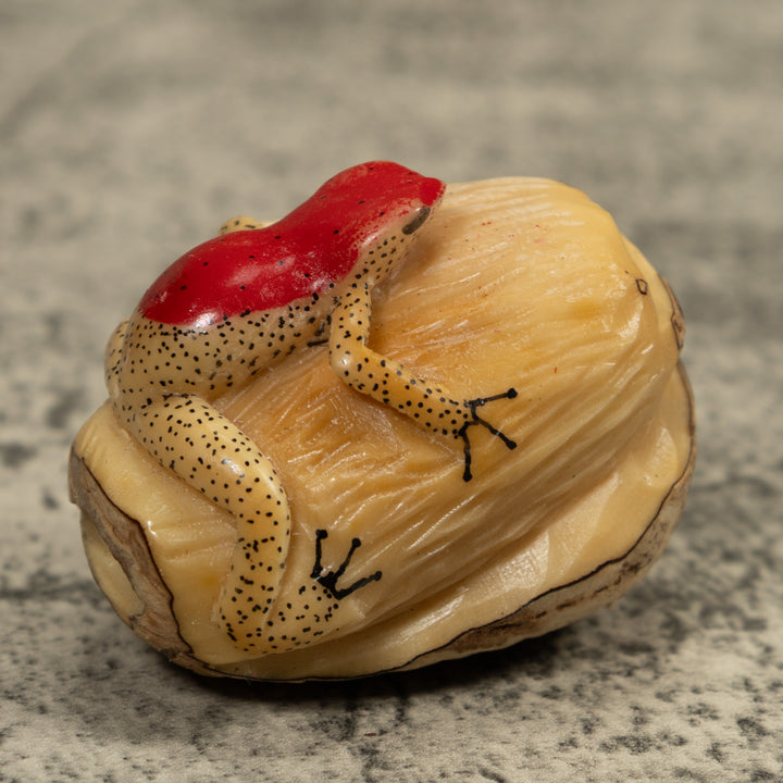 Red And Beige Frog Tagua Carving