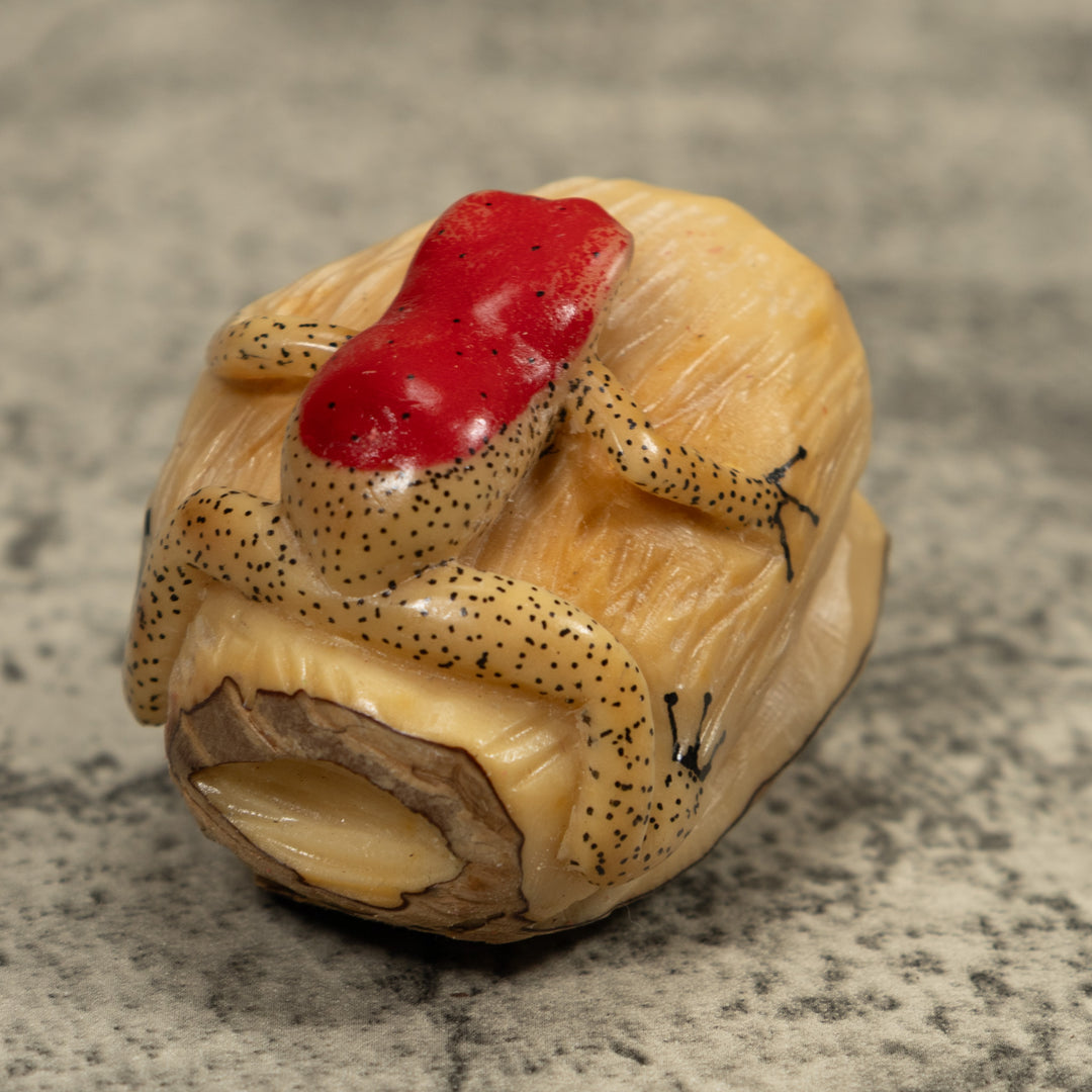 Red And Beige Frog Tagua Carving