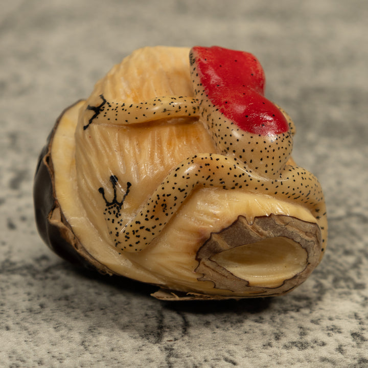 Red And Beige Frog Tagua Carving