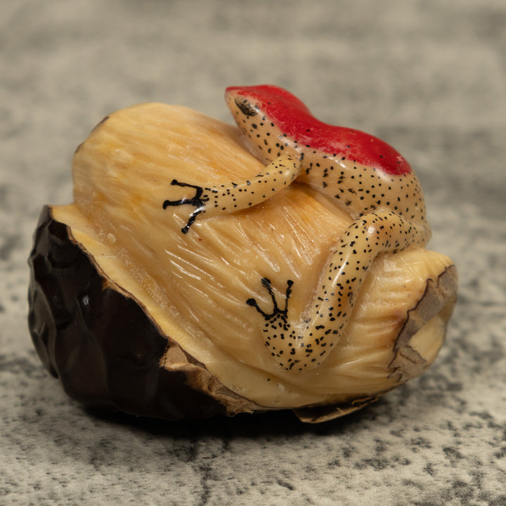 Red And Beige Frog Tagua Carving