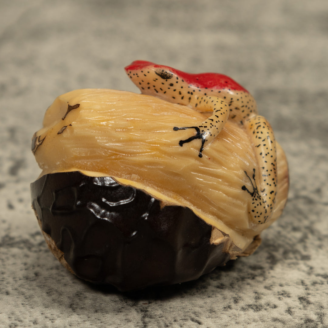 Red And Beige Frog Tagua Carving
