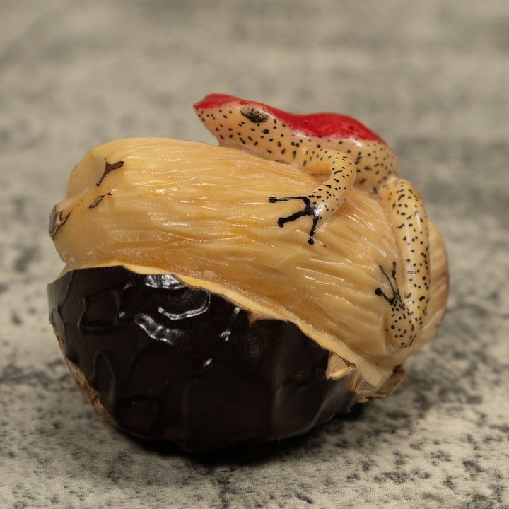 Red And Beige Frog Tagua Carving