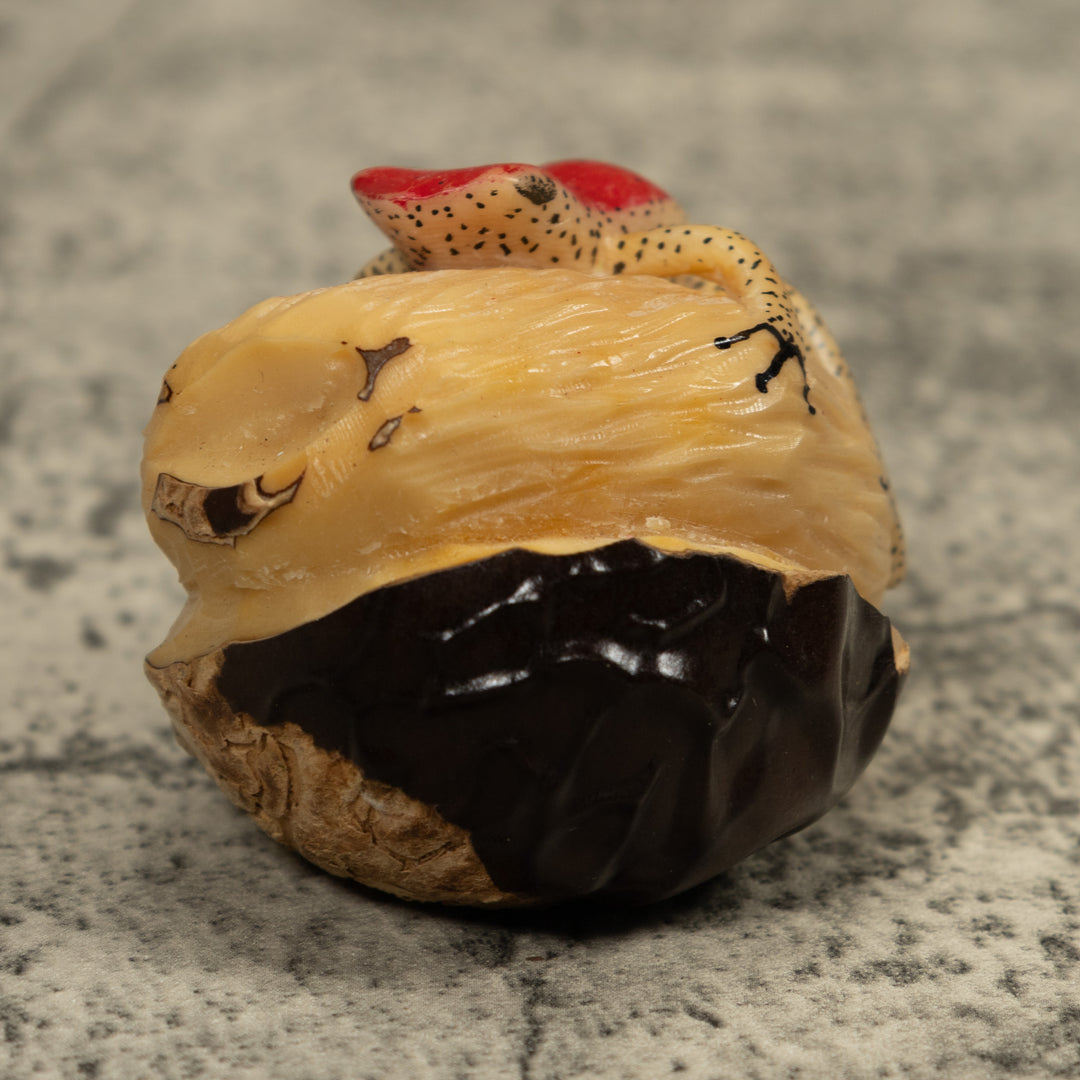 Red And Beige Frog Tagua Carving