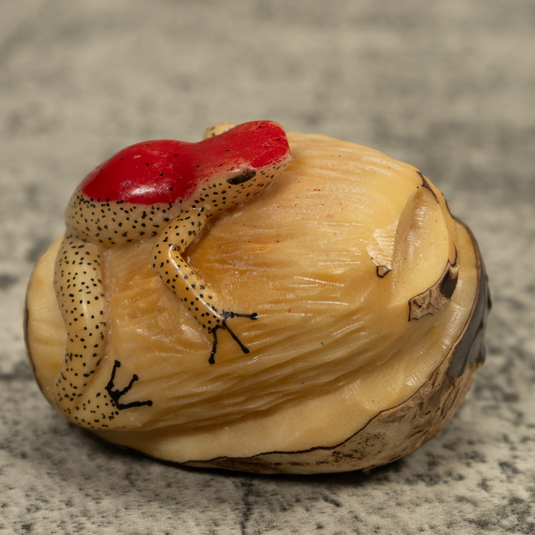 Red And Beige Frog Tagua Carving