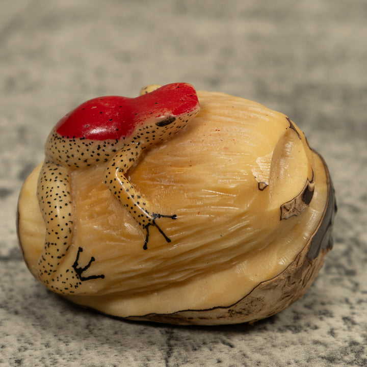 Red And Beige Frog Tagua Carving