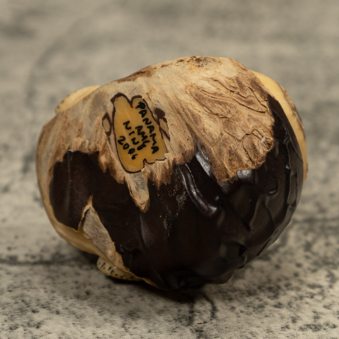 Red And Beige Frog Tagua Carving