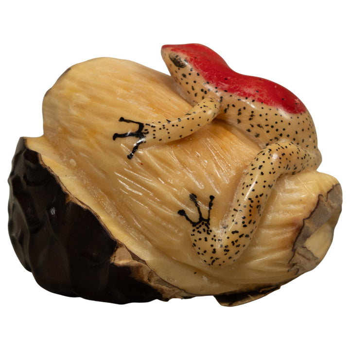 Red And Beige Frog Tagua Carving
