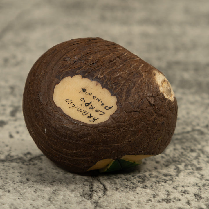 Blue Poison Dart Frog Tagua Carving