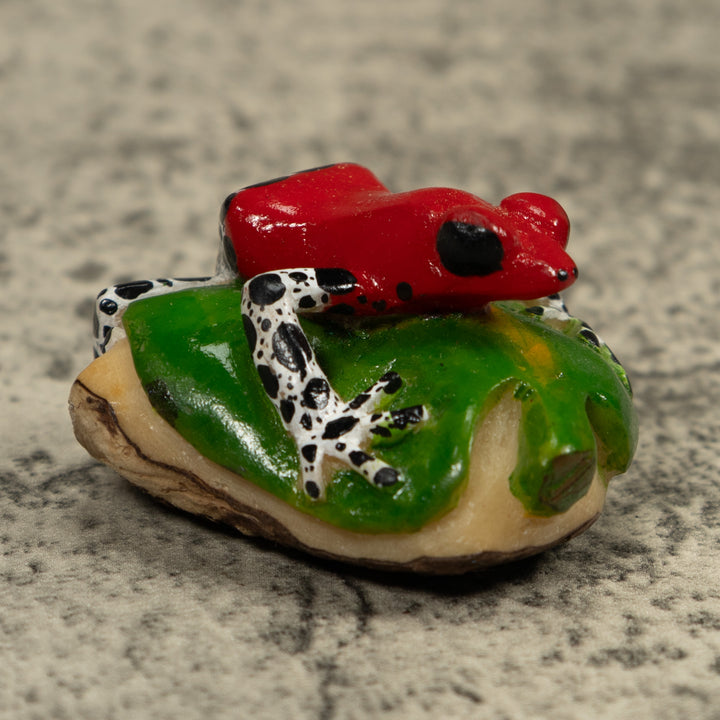 Red Poison Dart Frog Tagua Carving