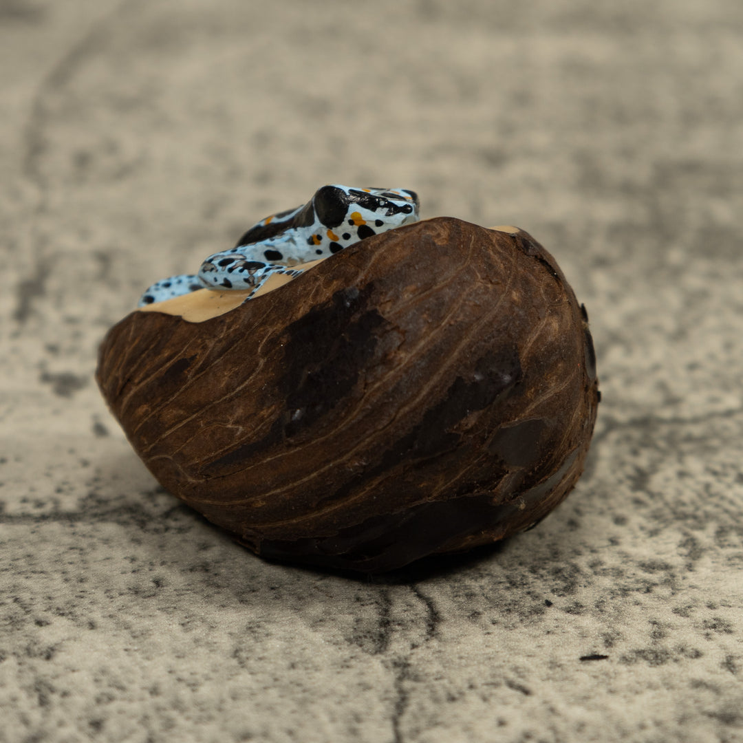 Blue Poison Dart Frog Tagua Carving