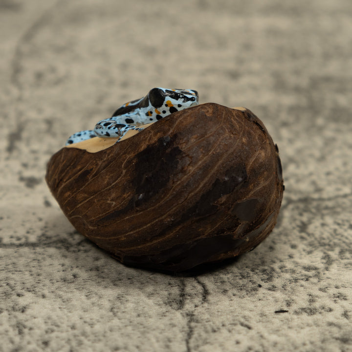 Blue Poison Dart Frog Tagua Carving