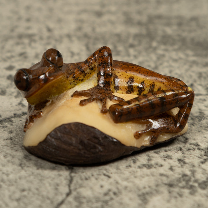 Brown Frog Tagua Carving