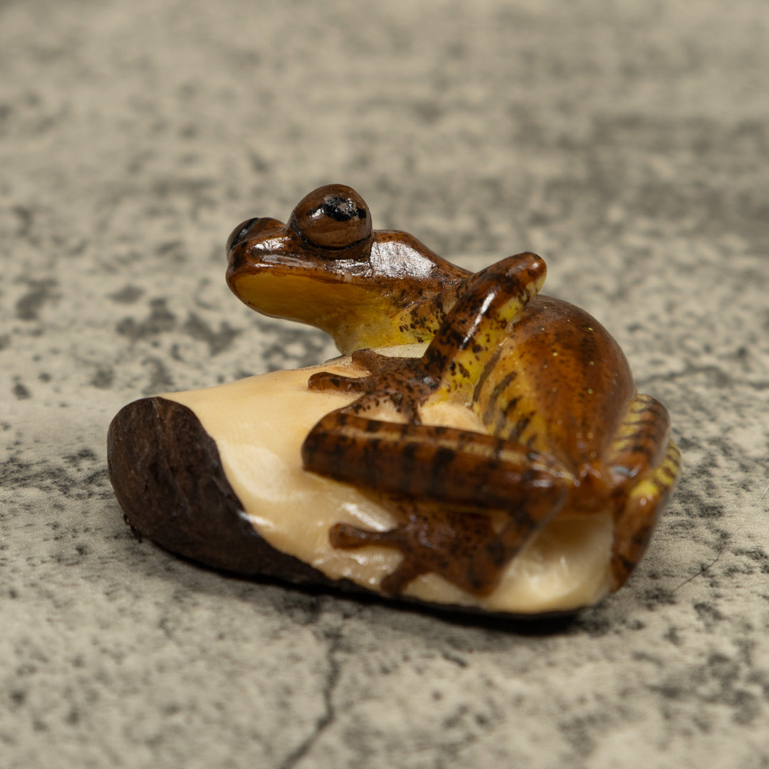 Brown Frog Tagua Carving