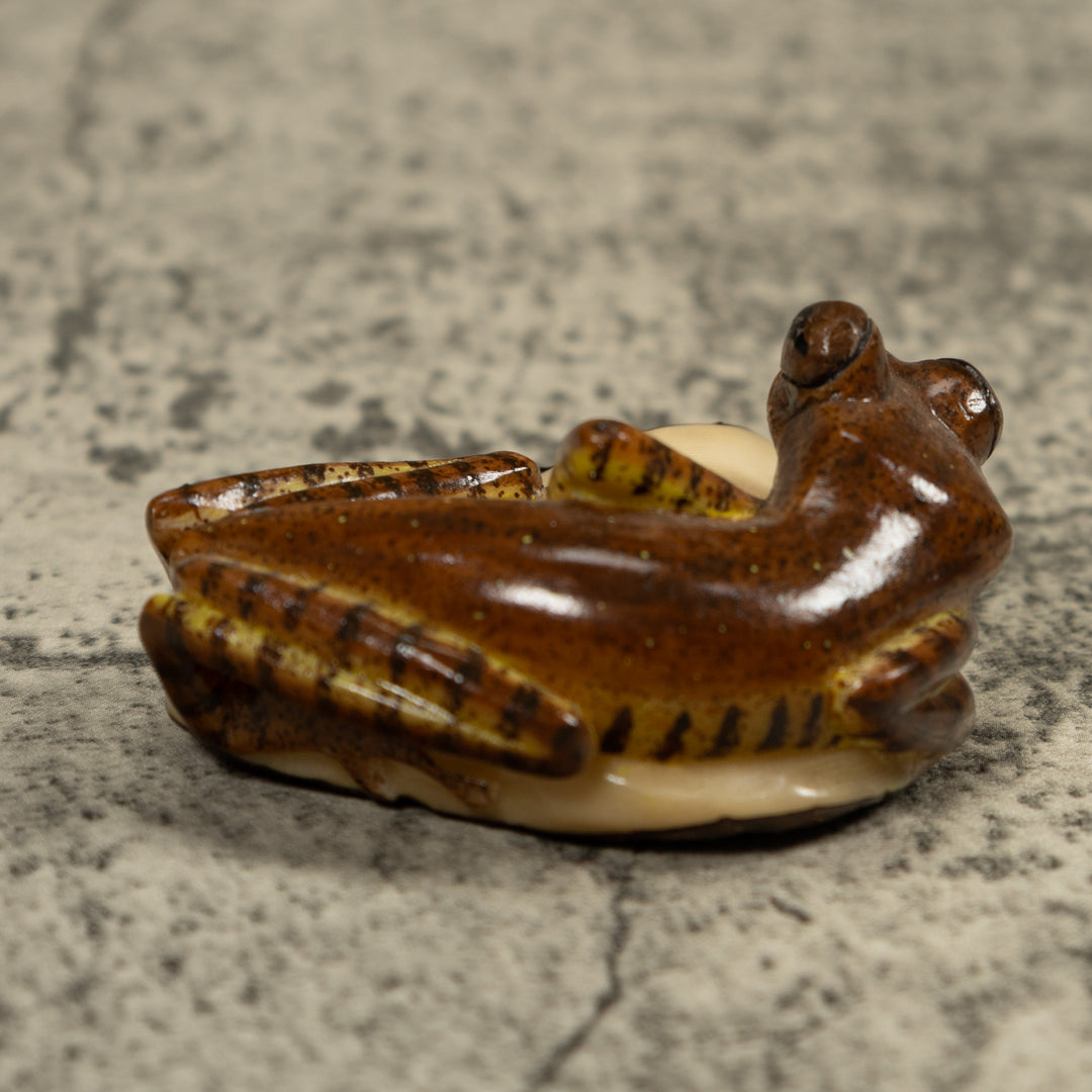 Brown Frog Tagua Carving