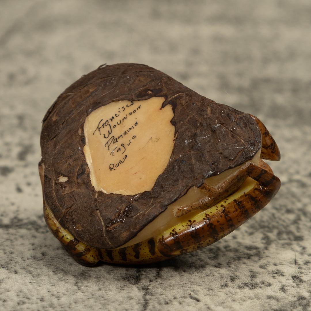 Brown Frog Tagua Carving