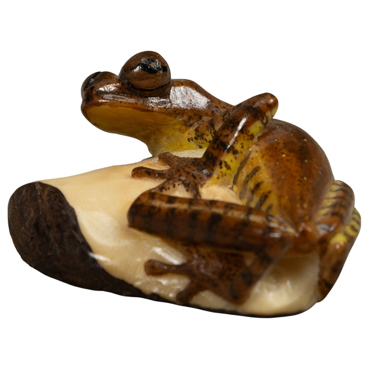 Brown Frog Tagua Carving