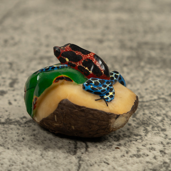 Red And Blue Frog Tagua Carving