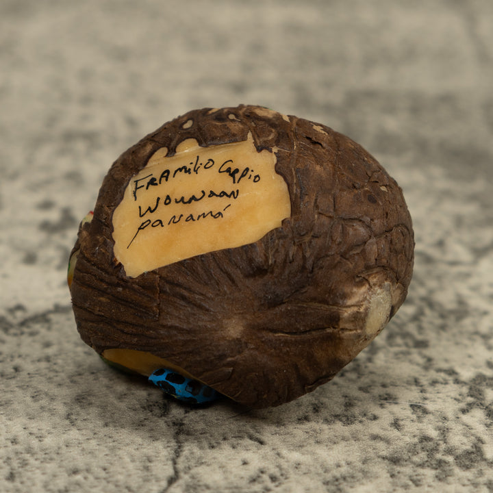 Red And Blue Frog Tagua Carving