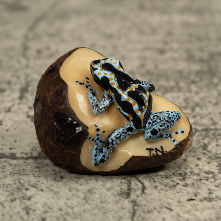 Blue Poison Dart Frog Tagua Carving