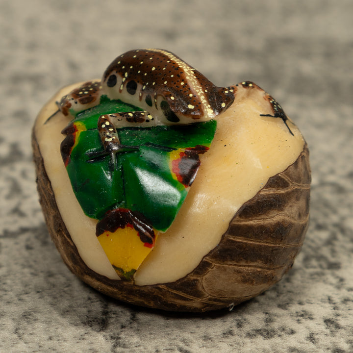 Brown And White Frog Tagua Carving