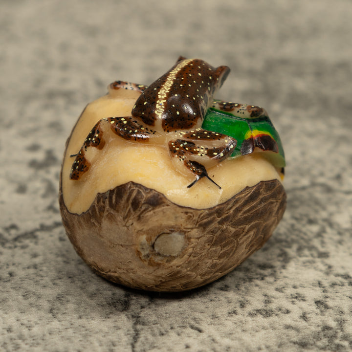 Brown And White Frog Tagua Carving