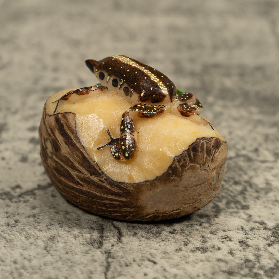 Brown And White Frog Tagua Carving