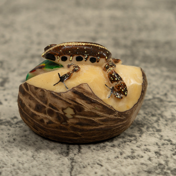 Brown And White Frog Tagua Carving