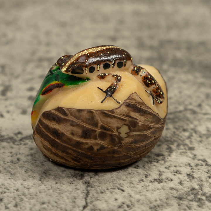 Brown And White Frog Tagua Carving