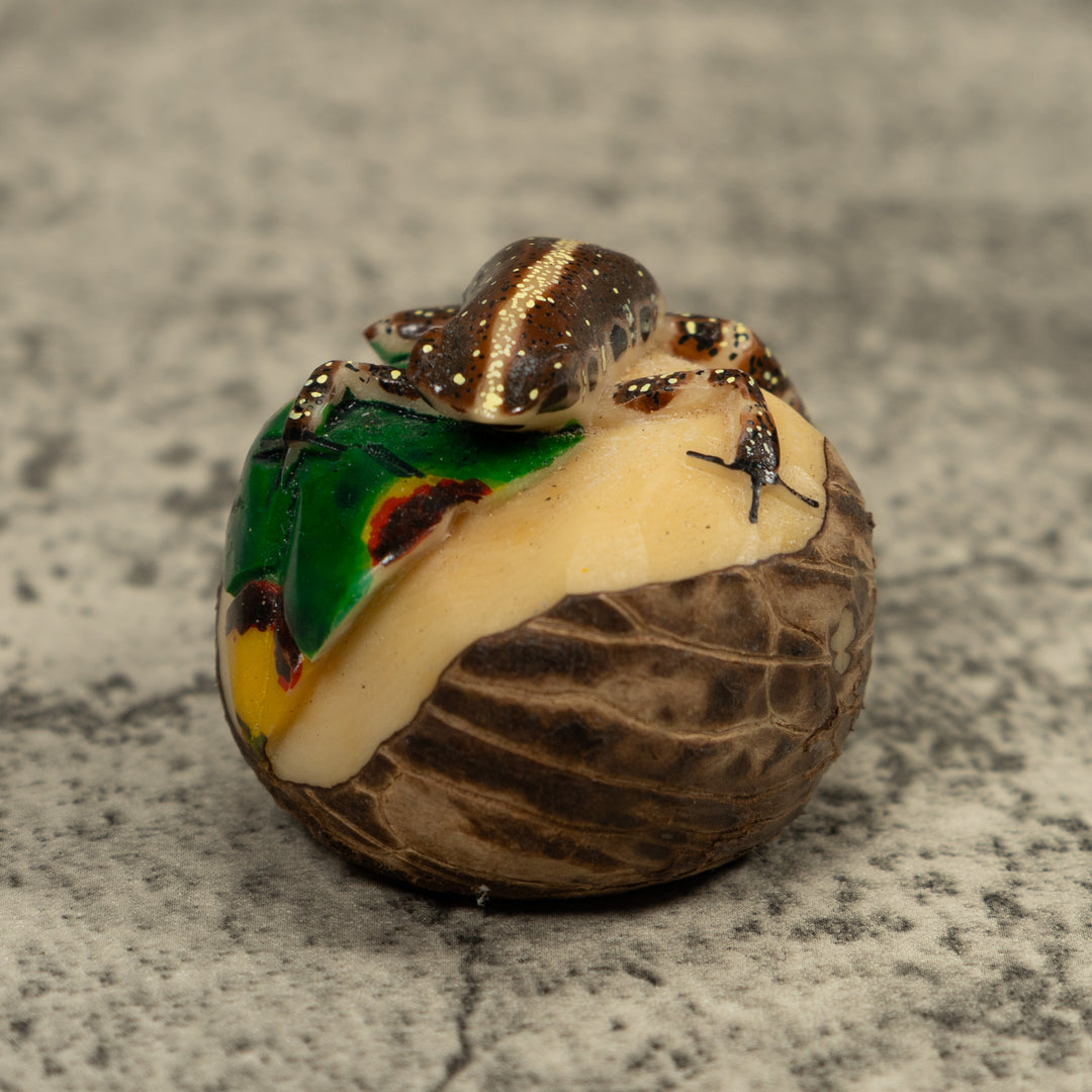 Brown And White Frog Tagua Carving