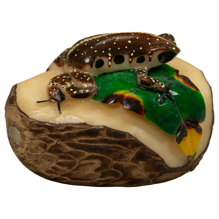 Brown And White Frog Tagua Carving