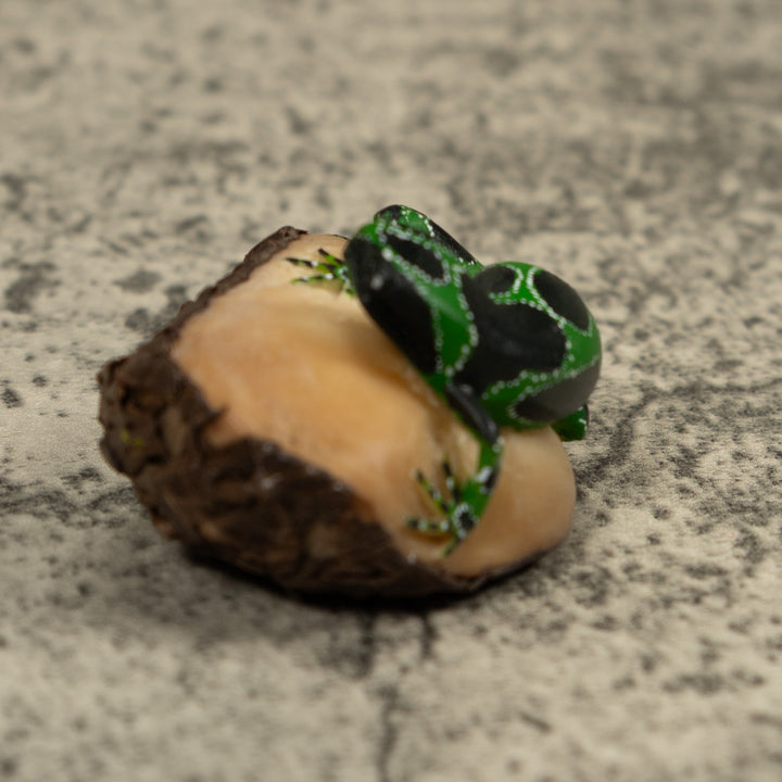 Black Green And White Frog Tagua Carving