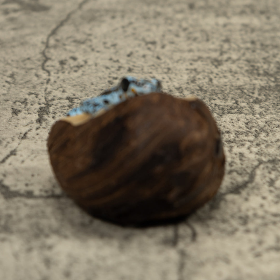 Blue Poison Dart Frog Tagua Carving