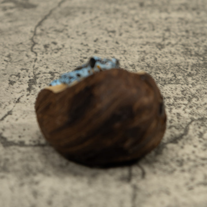 Blue Poison Dart Frog Tagua Carving