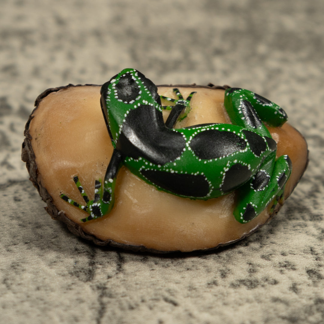 Black Green And White Frog Tagua Carving