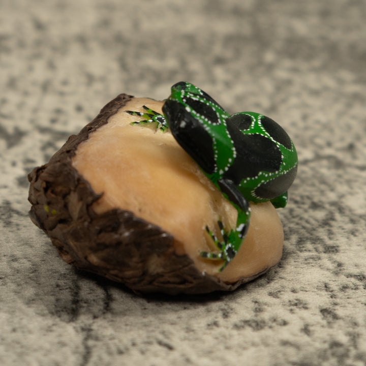 Black Green And White Frog Tagua Carving