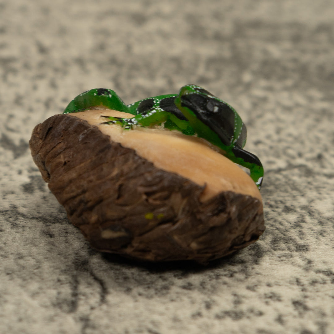 Black Green And White Frog Tagua Carving