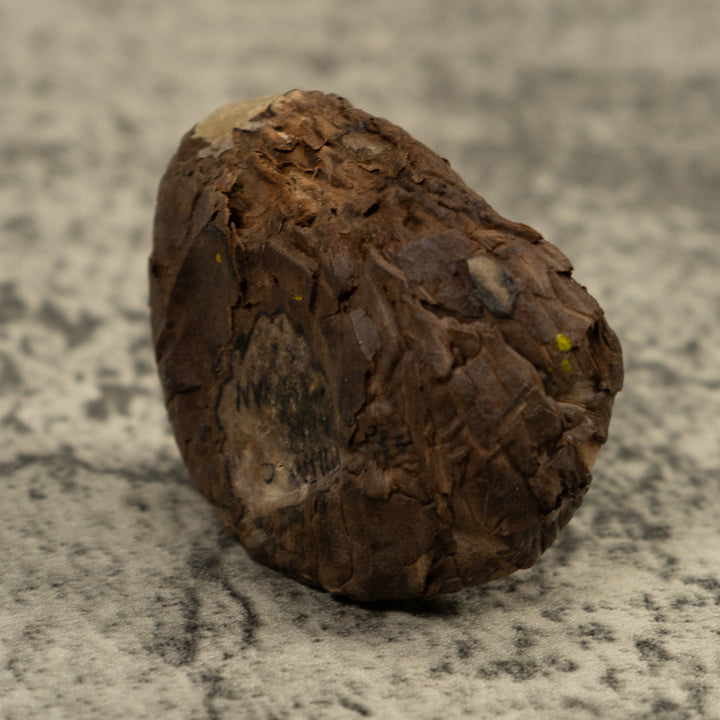 Black Green And White Frog Tagua Carving