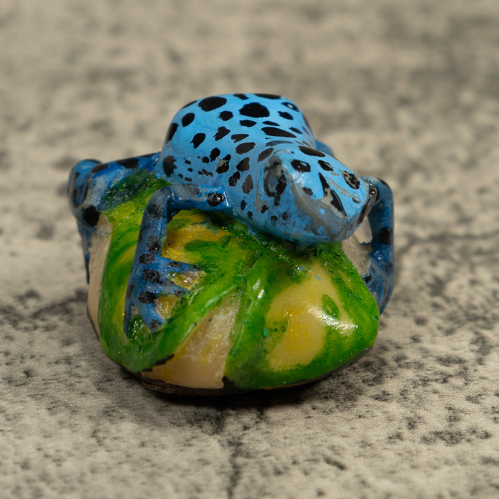 Black And Blue Frog Tagua Carving