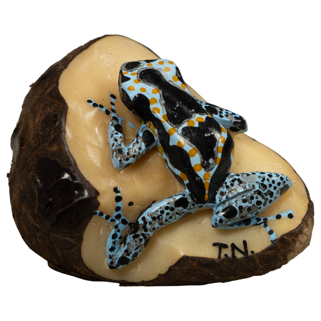 Blue Poison Dart Frog Tagua Carving
