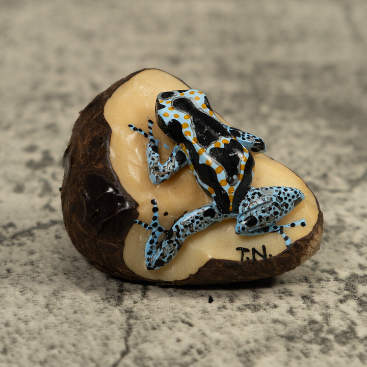 Blue Poison Dart Frog Tagua Carving