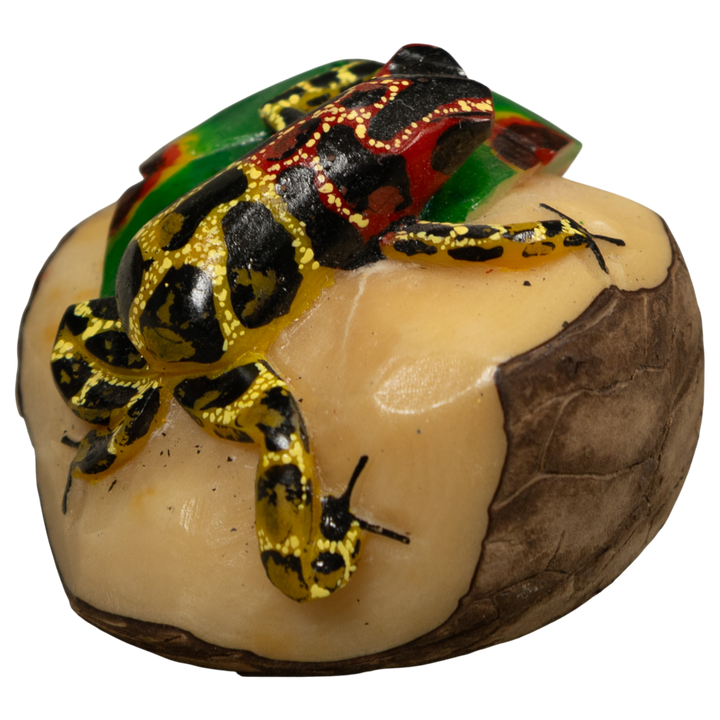 Poison Dart Frog Tagua Carving