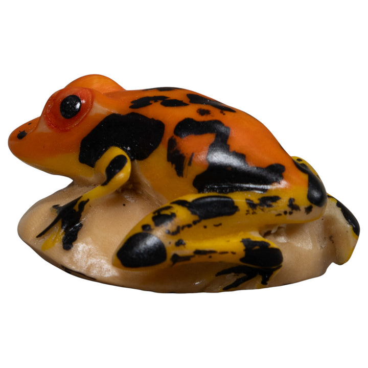 Vintage Black And Gold Poison Dart Frog Tagua Carving